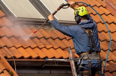 Démoussage et hydrofuge de toiture à Peyrieu